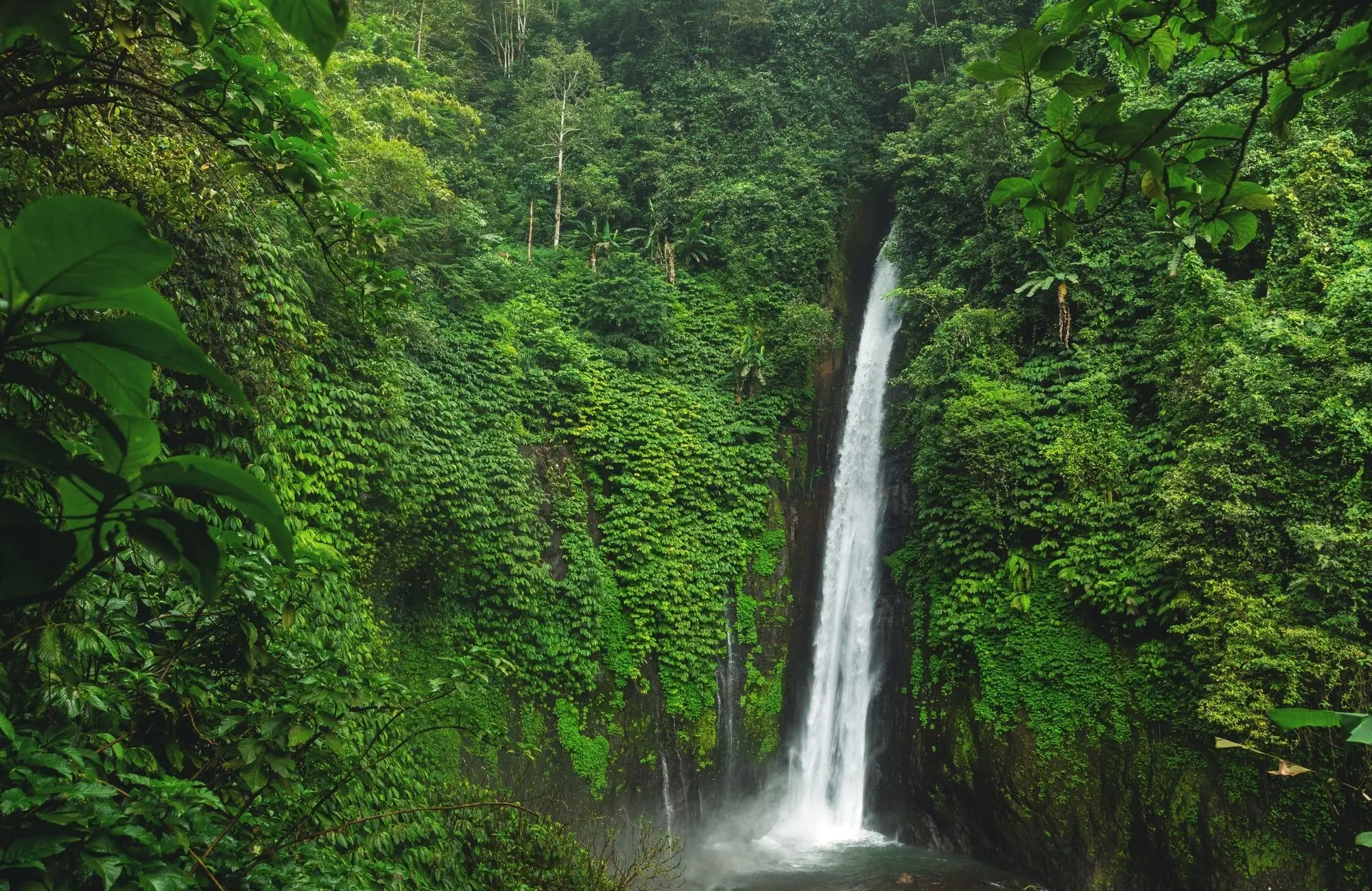 Bali's Best-Kept Secret: Your Guide to a Munduk Nature Tour images