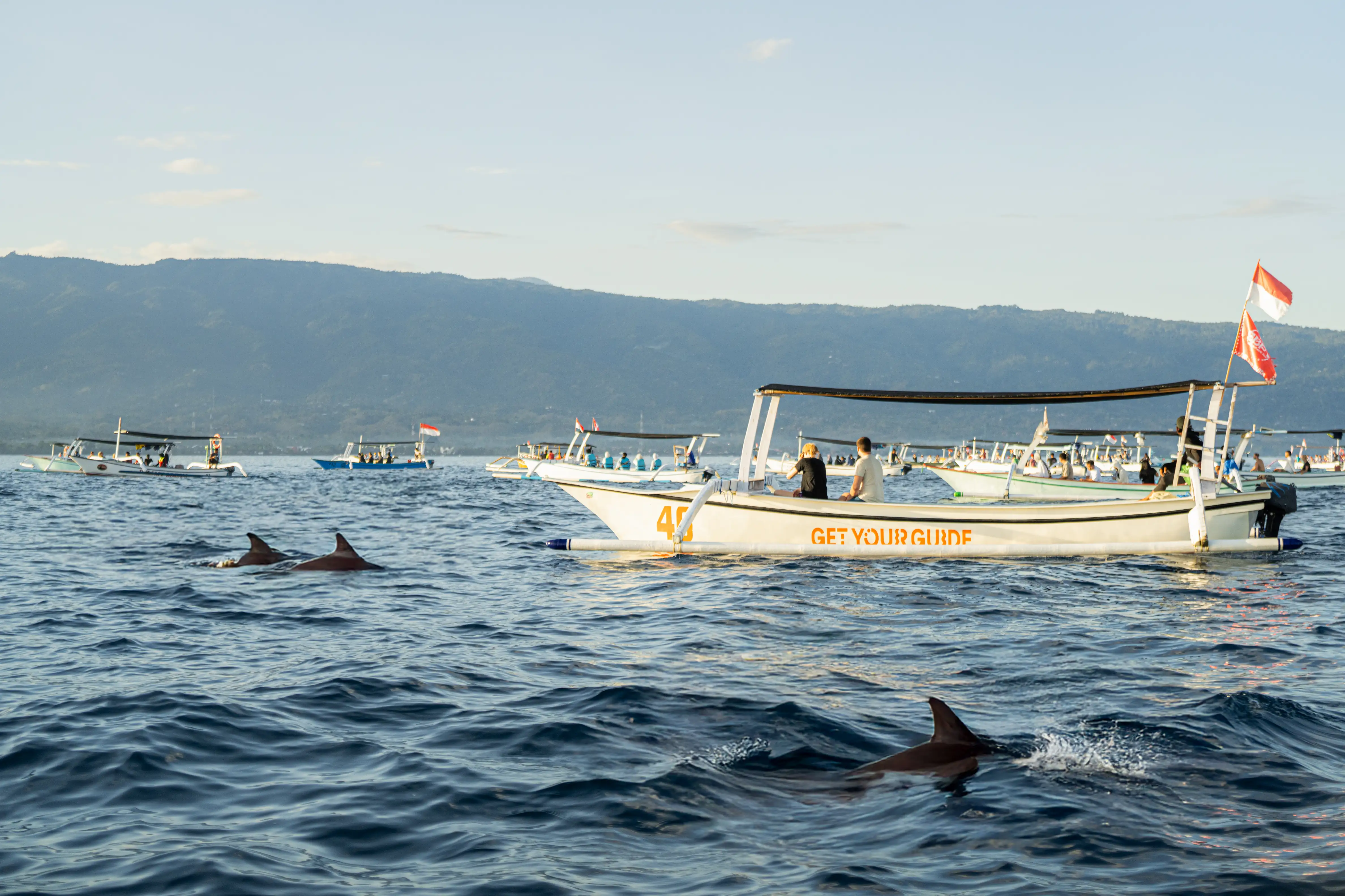 The Ultimate Guide to the Best Dolphin-Watching Tours Near Lovina Beach, Bali
