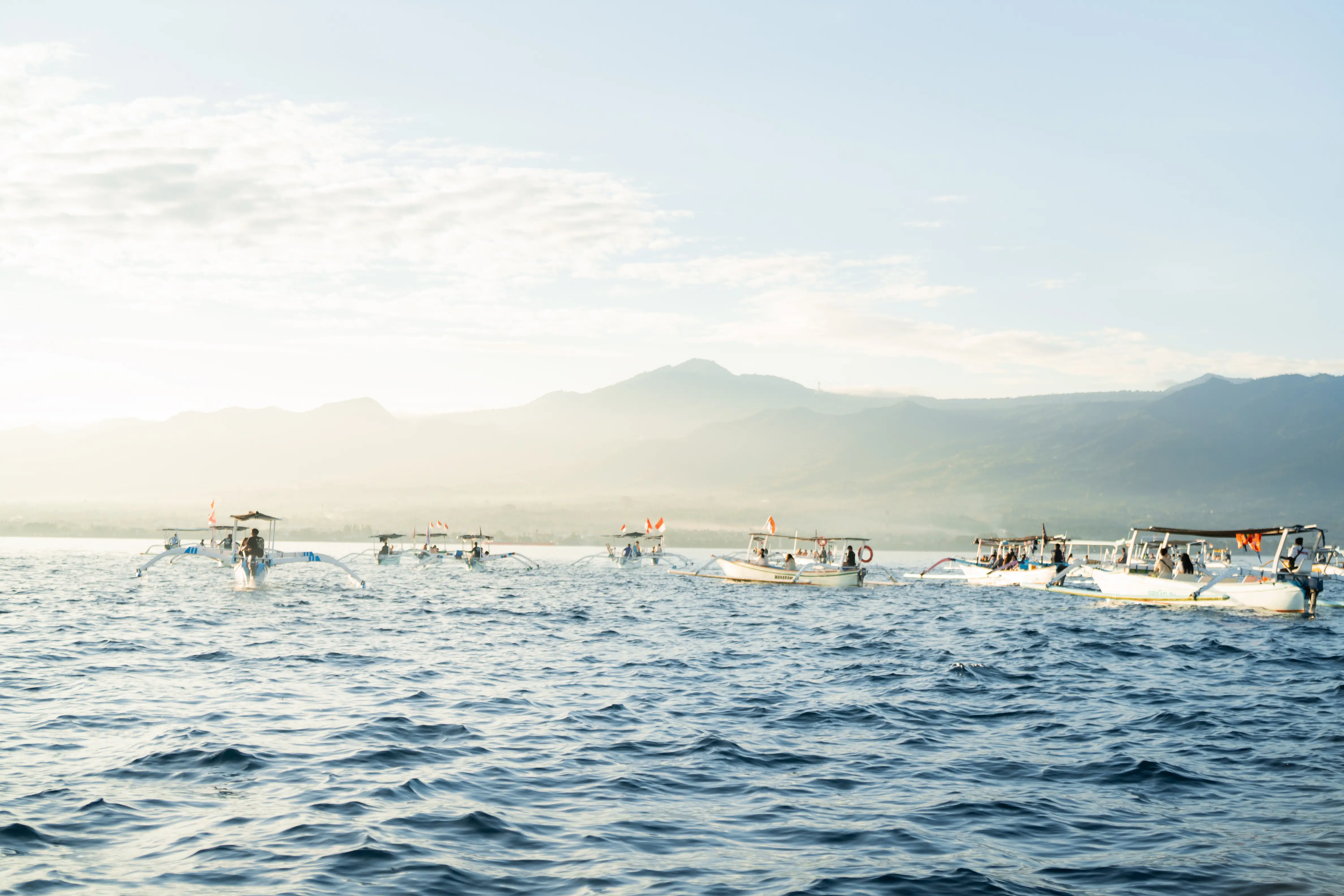 Dolphin Watching in Lovina: The Ethical & Magical Guide for 2026